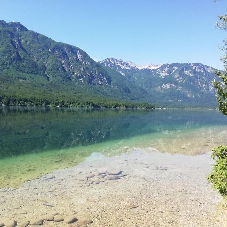Apartment Mlakar Bohinj ภายนอก รูปภาพ