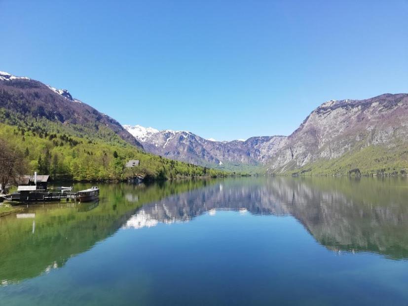 Apartment Mlakar Bohinj ภายนอก รูปภาพ