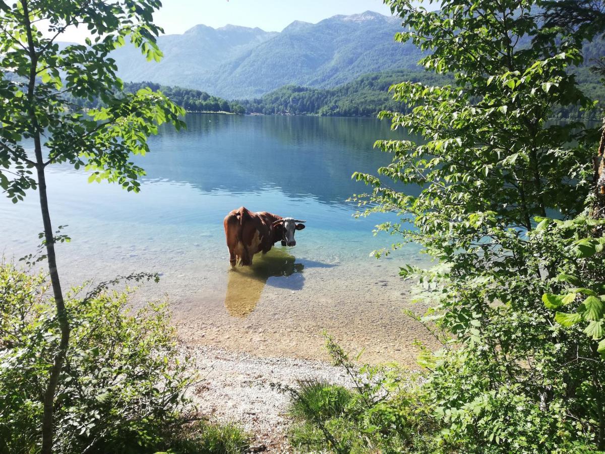 Apartment Mlakar Bohinj ภายนอก รูปภาพ
