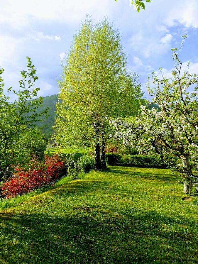 Apartment Mlakar Bohinj ภายนอก รูปภาพ