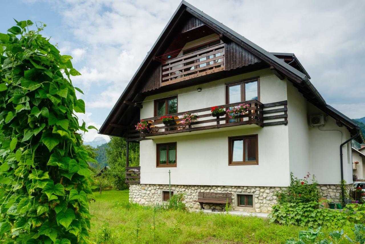 Apartment Mlakar Bohinj ภายนอก รูปภาพ